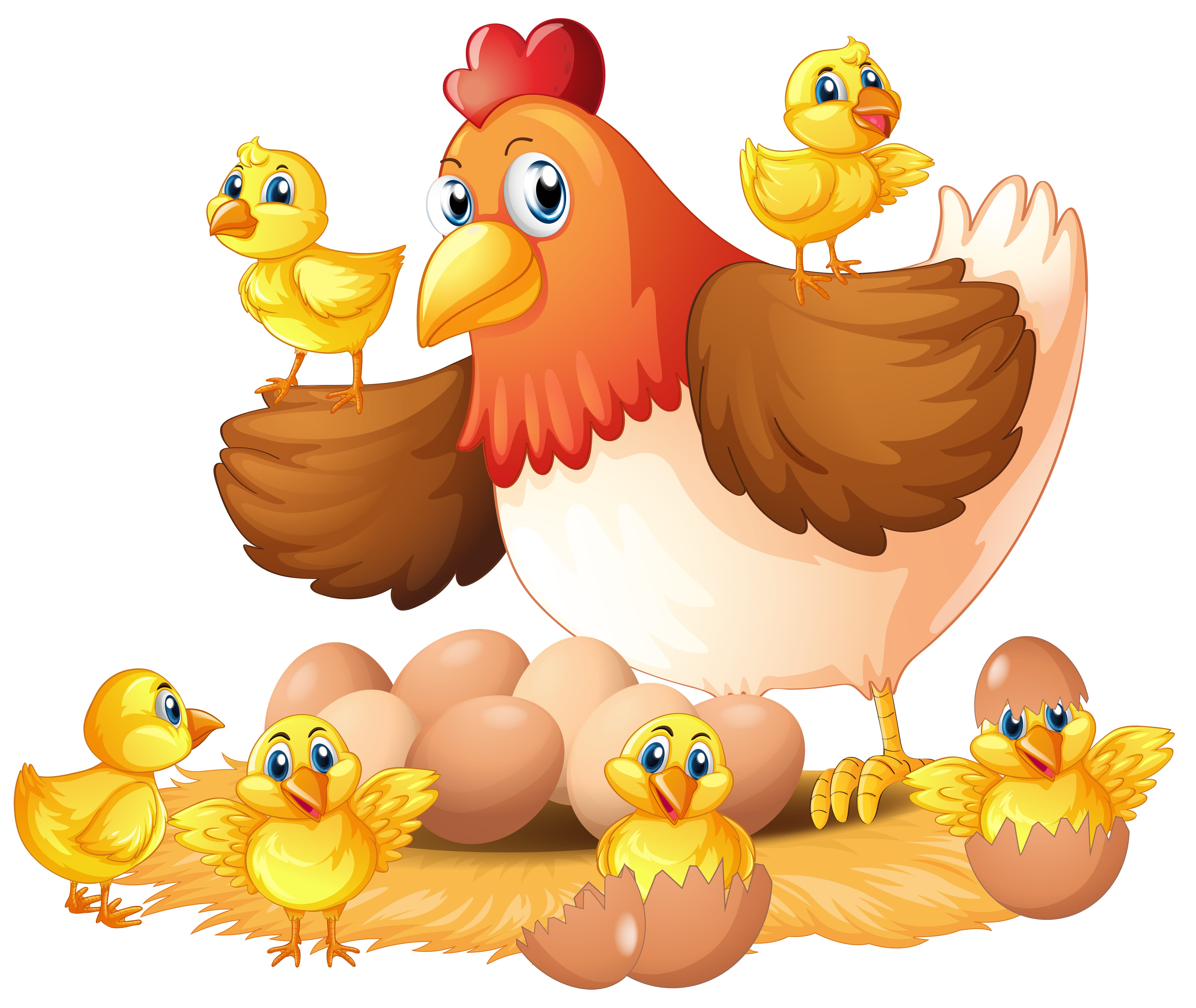 Sustainable Feeding Programs for Optimal Growth